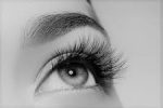 BROW & LASH TINT